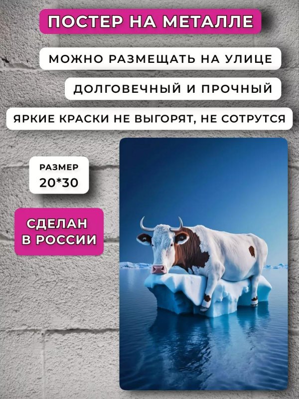 плакаты с коровами