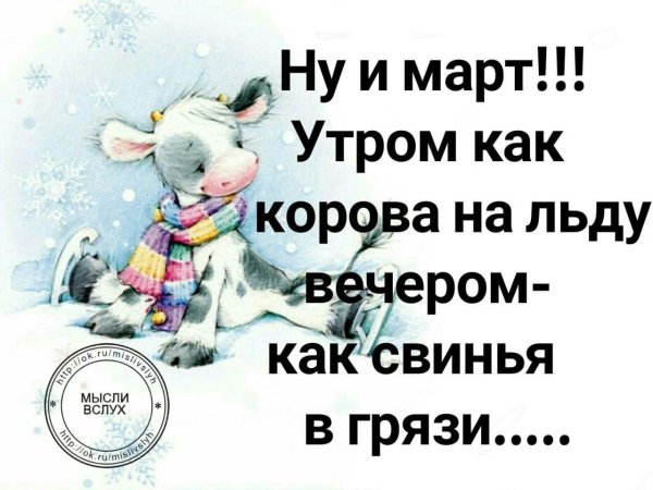 мысли вслух с юмором