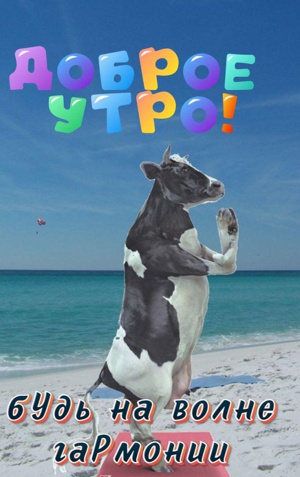 прикольная корова