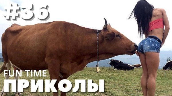 подборка приколов