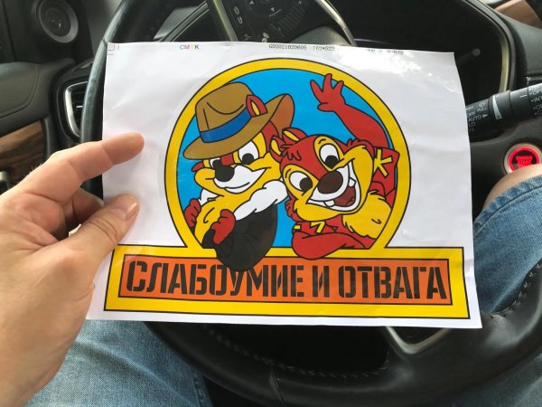 наклейка на авто cлабоумие и отвага