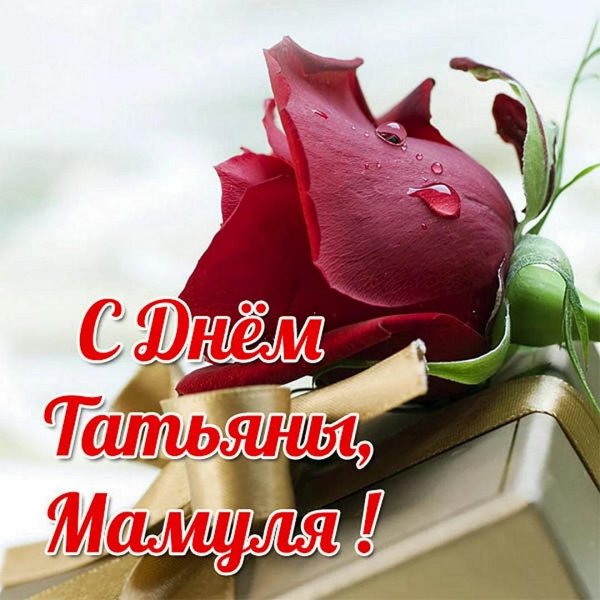 С татьяниным днем