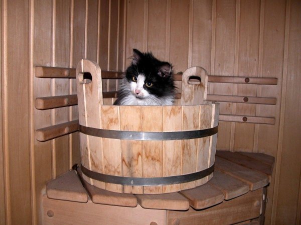 шайка для бани