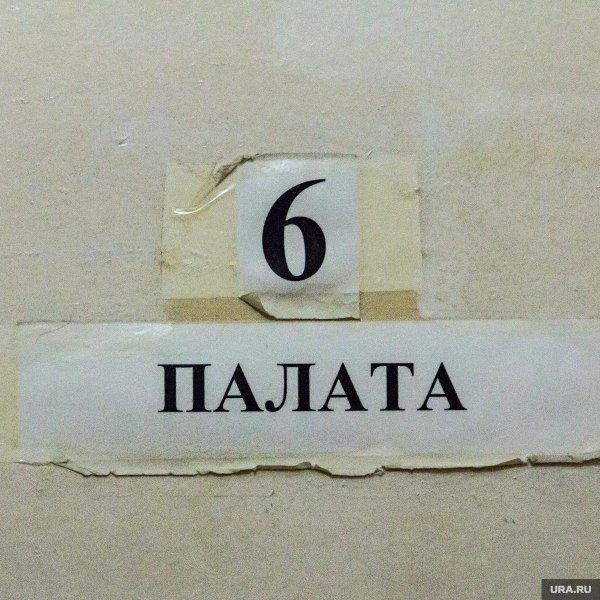 6 палата