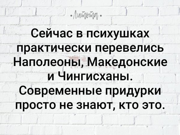 юмористические цитаты