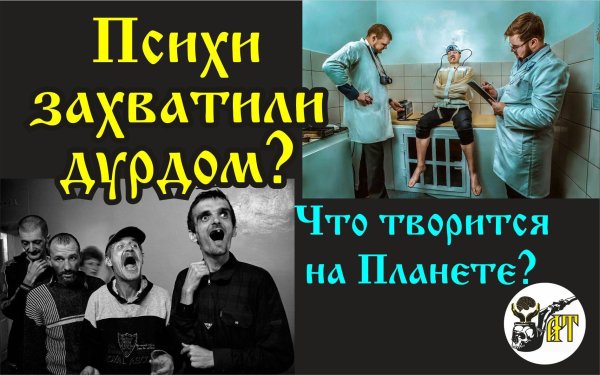 правда психушки