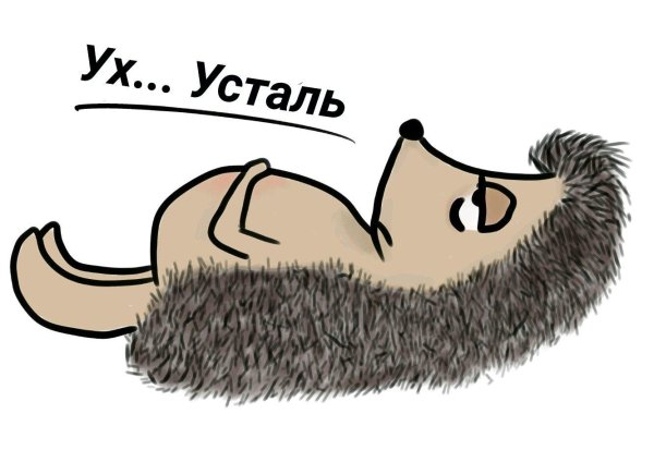 ежик прикольный