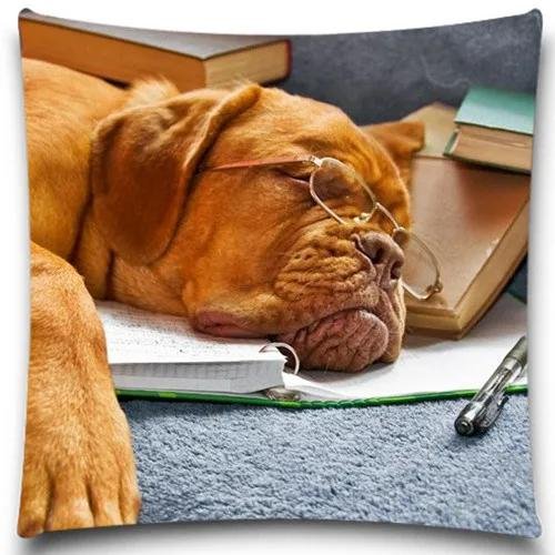 уставшее животное