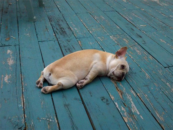 завтра выходной