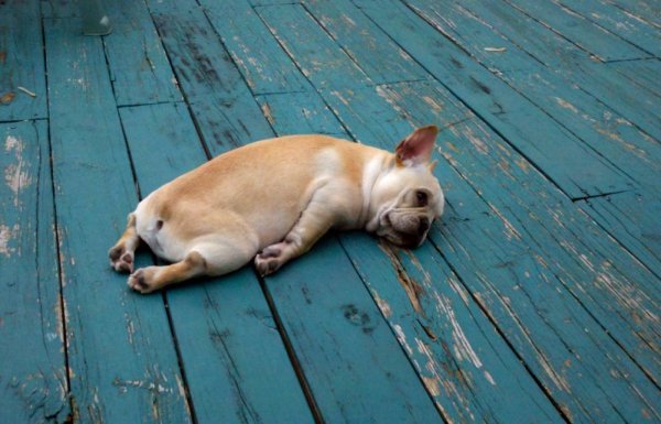 последние дни отпуска