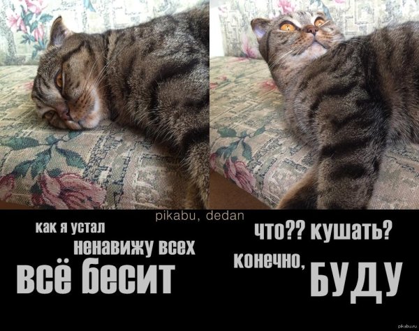 Усталость