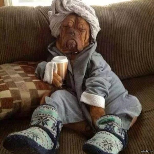 доброе утро пенсионер