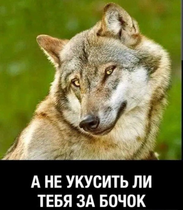 укусит за бочок