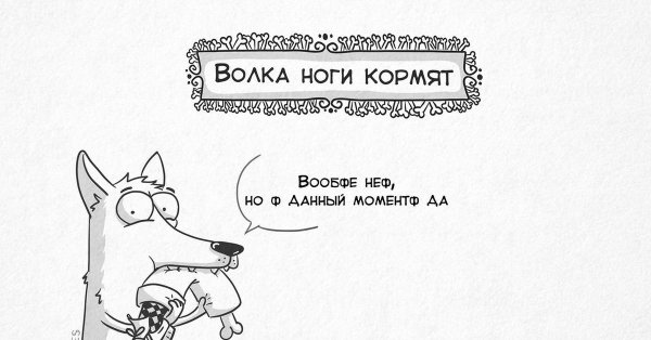 волка ноги кормят