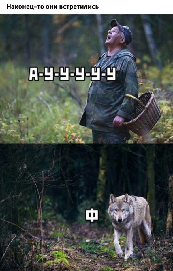 грибник в лесу