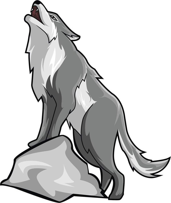 волка рисунок