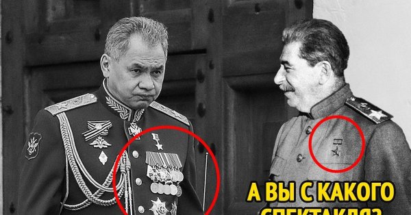 ордена шойгу