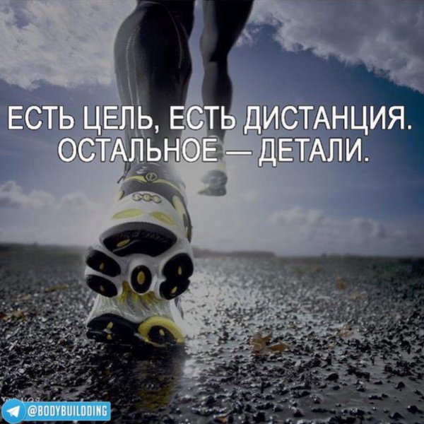 есть цель есть дистанция остальное детали