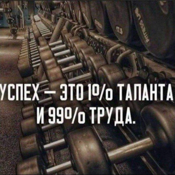 фитнес спорт