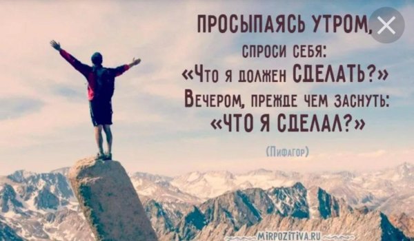 мотивирующая цитата