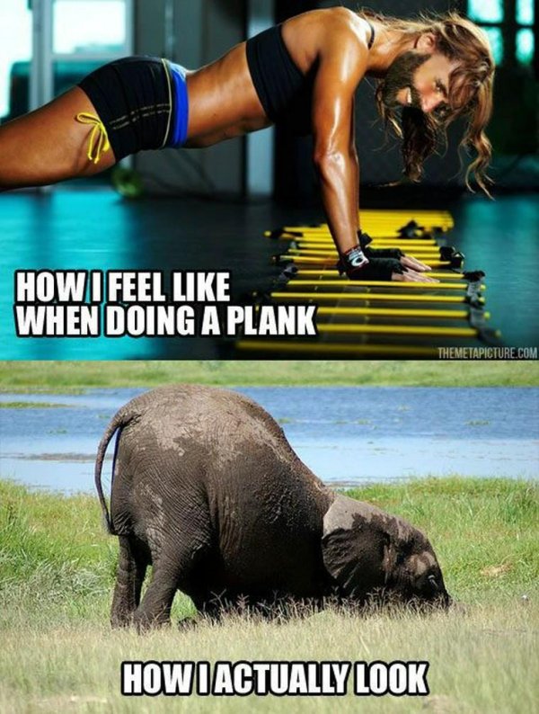 спортивные девушки