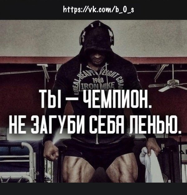 мотивационные фразы