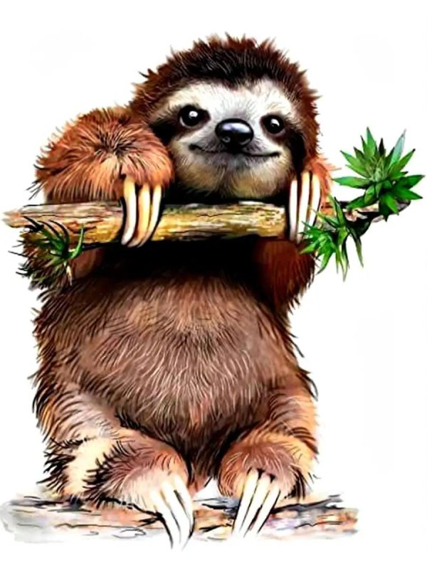 веселый ленивец