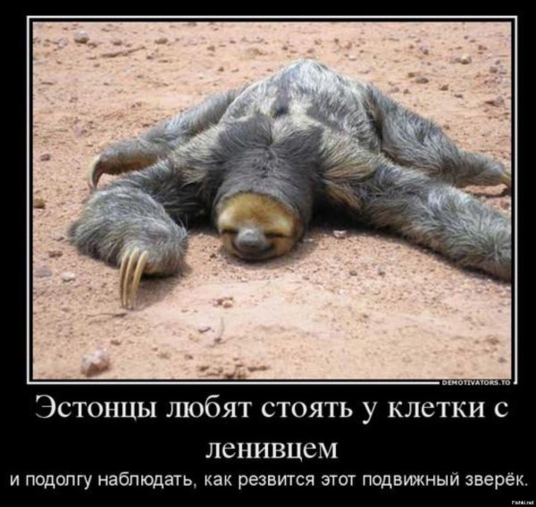 шутки про медленных эстонцев