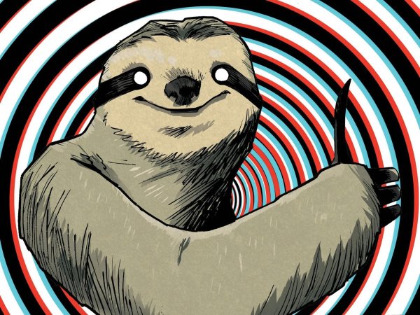 мемный ленивец