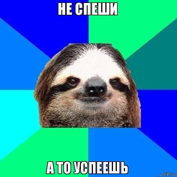 ленивец прикол