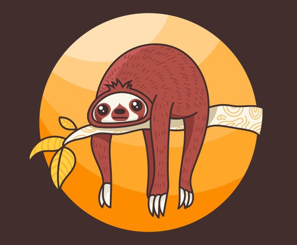 ленивец sloth