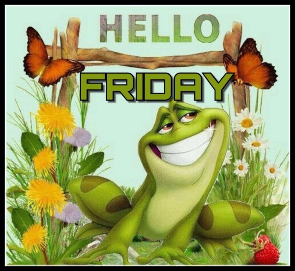 день лягушки