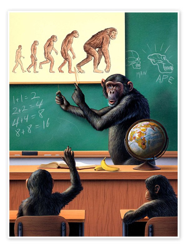 обезьяна умная