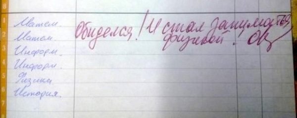 замечание в дневнике