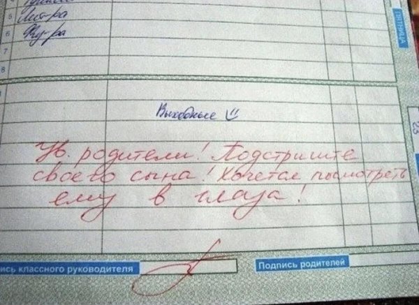 смешные замечания в дневнике