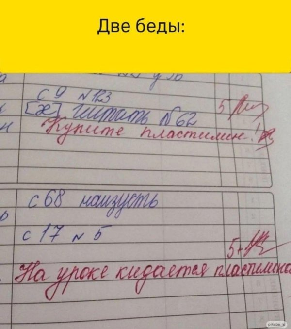 замечание в дневнике