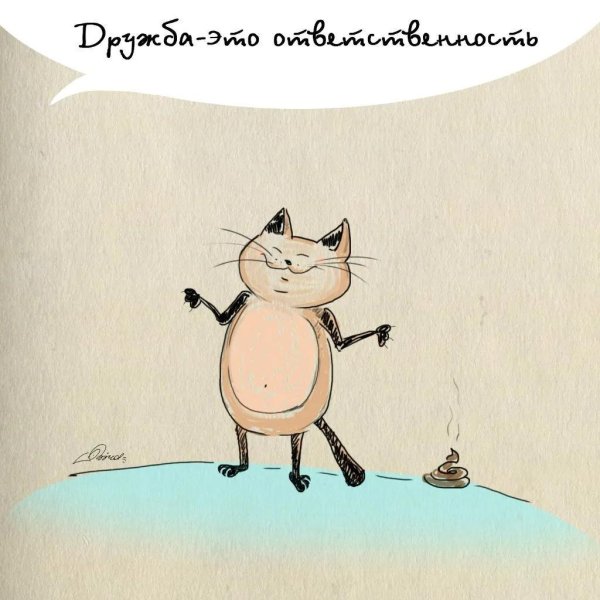 За дружбу