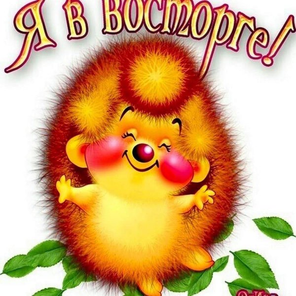 радостный ежик