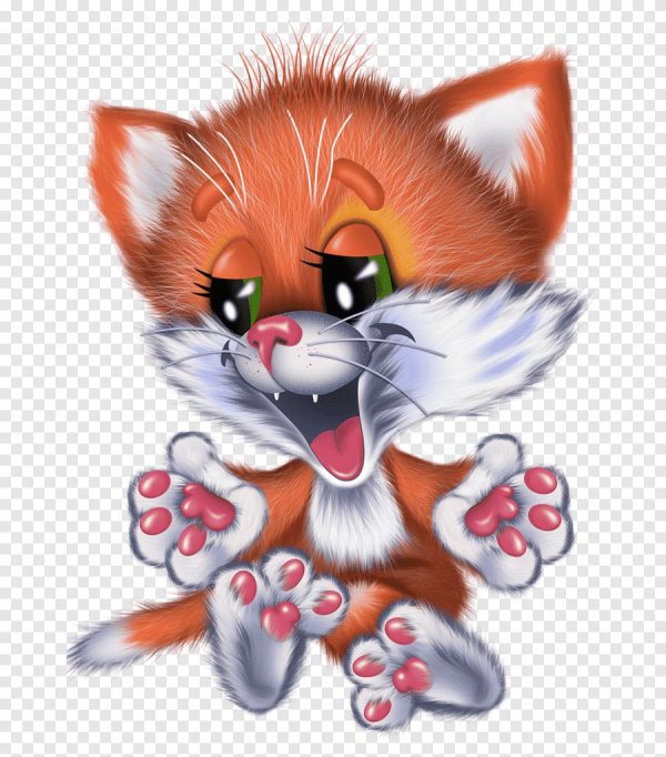 забавные зверюшки