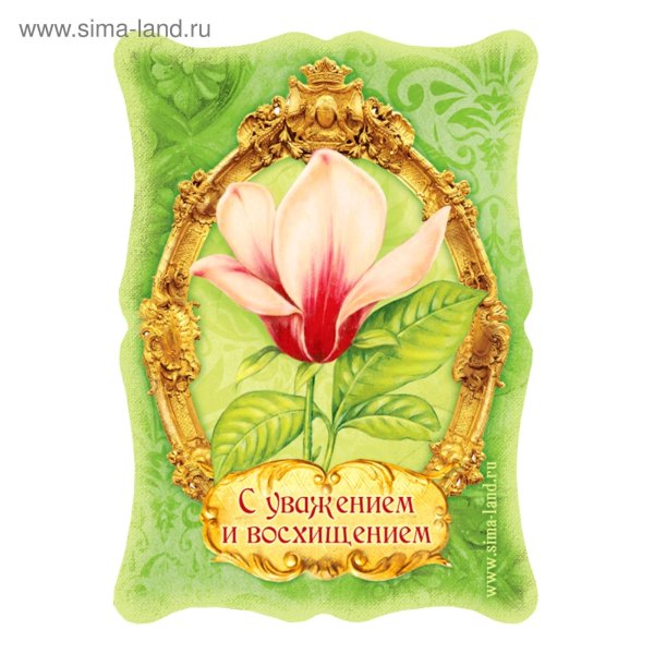 цветок магнолии