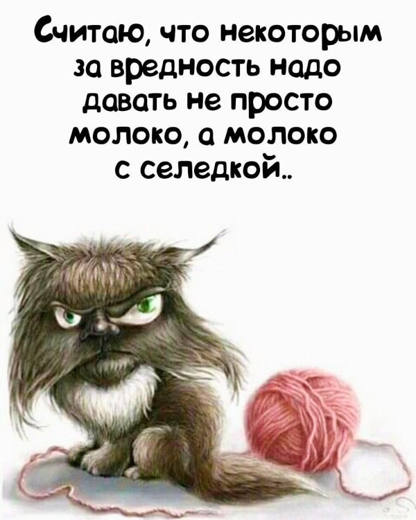 доброе утро злюка