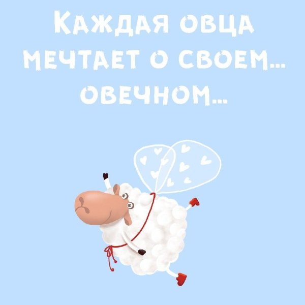 вот оно счастье