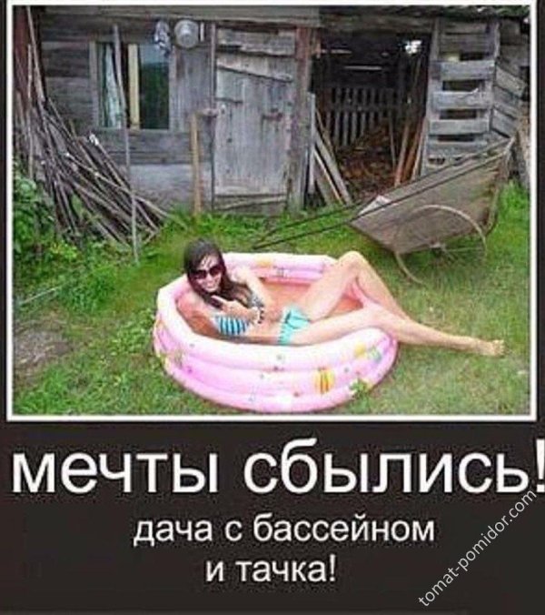 дача прикол