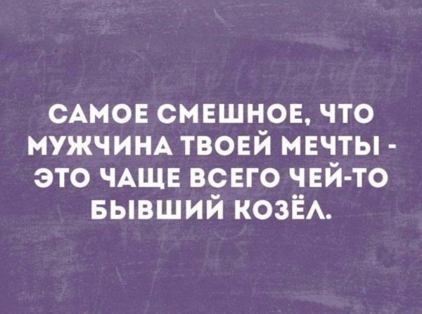 цитата смешная