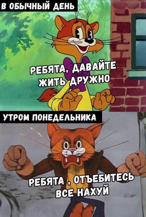 лето кота леопольда