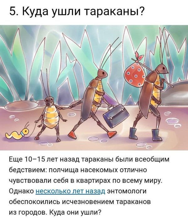 Тараканы