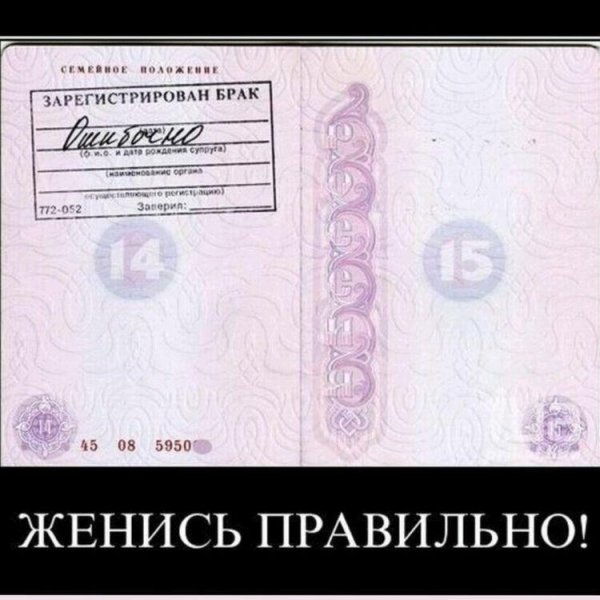 семейное положение в паспорте