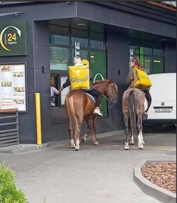 лошади смешные