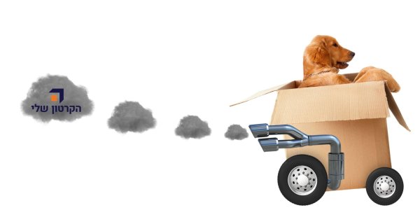 переехал собаку