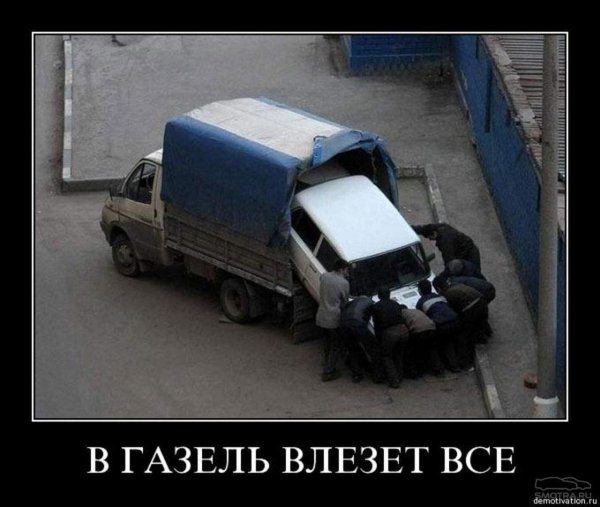 смешная газель